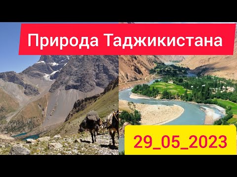 природа Таджикистана 29_05_2023