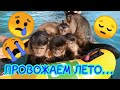 2019.09.05 Обезьяна капуцин Масяня, Питри, Даня, Браша и Кики. Отдыхаем на море.