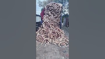 Unloading wood