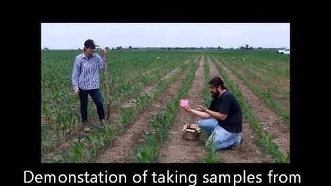 How to take soil core bulk density sample