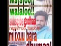 Miixuu Bara Dhumaa Walaloo Dhaggeefadha SUBSCRIBE GOCHUUN MAATII KOO TA AA 