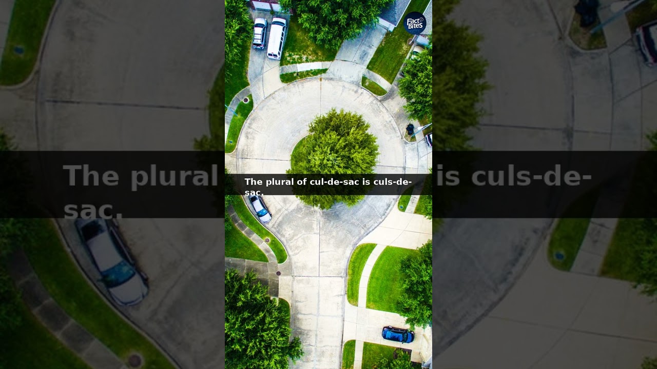 Did You Know? Is the plural of cul-de-sac culs-de-sac? 