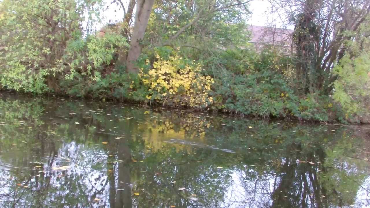 Pike float fishing on the canal chrisnsamfishing YouTube