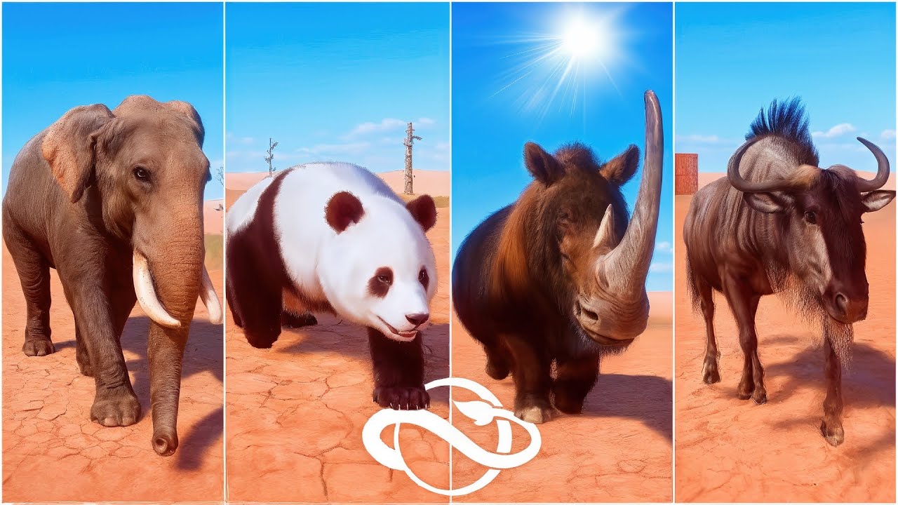 Birds & Animals Running Race in African Desert | Panda, Flamingo, Elephant and More | Planet Zoo🐘