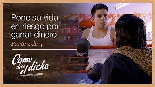 Como Dice El Dicho 14 Acepta Pelear Contra Kit Piraña Para Conseguir Lana Más Vale Una Toma...