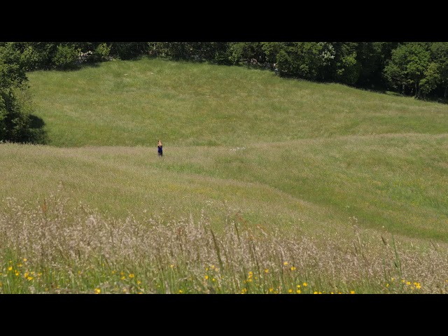 Relaxing Wind Sounds Through The Grass Field 8 Hours / Body Movement (Free Flow) class=