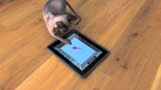 Sphynx cat playing iPad game / Kot rasy stinks kanadyjski gra na iPadzie. screenshot 4