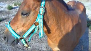 'Cause we got the fire