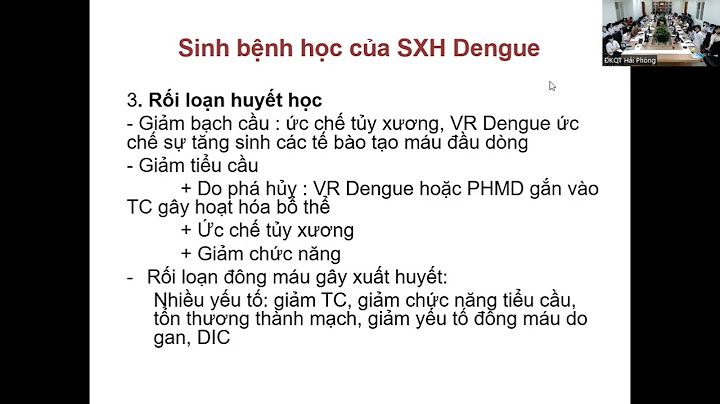 Hướng dẫn chẩn đoán sốt xuất huyết bộ y tế năm 2024