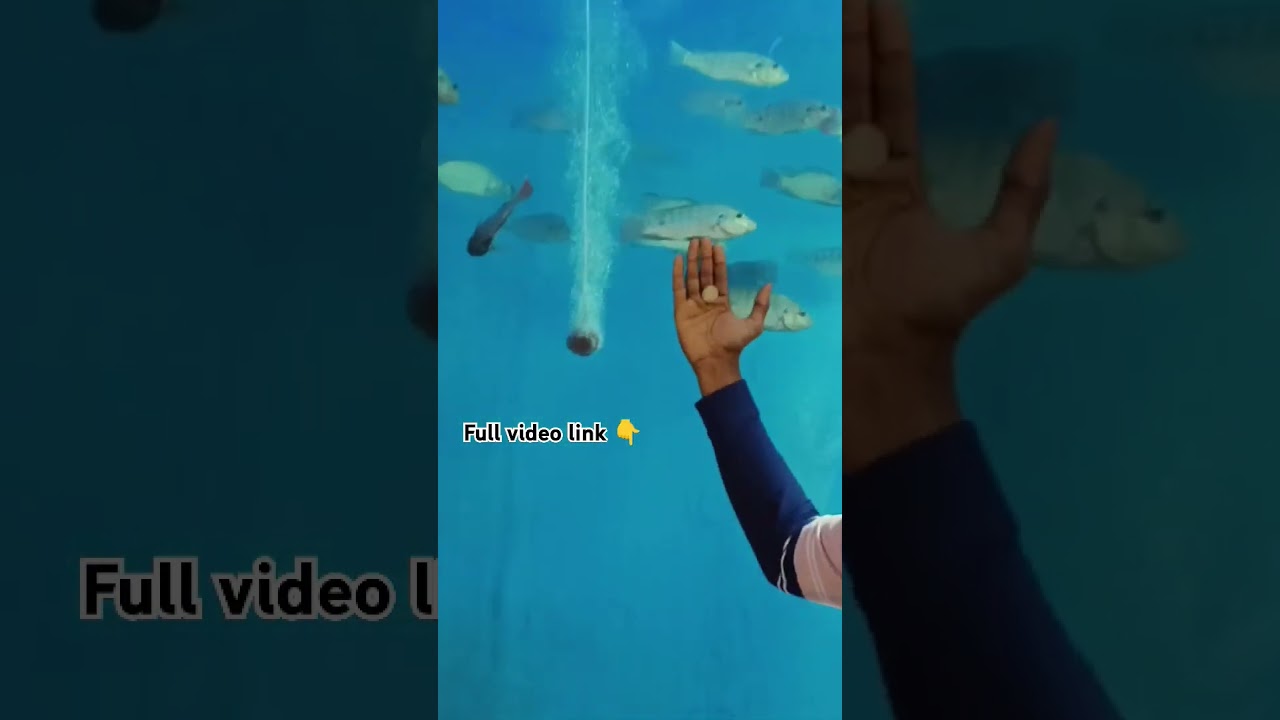 Ye keasi keasi machhaliya hai