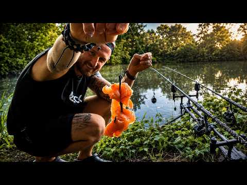 Catfishing at the Pond with SALMON ‒ will it work?