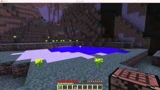 Screenium Minecraft Test on Macboook Pro (Mid 2012)