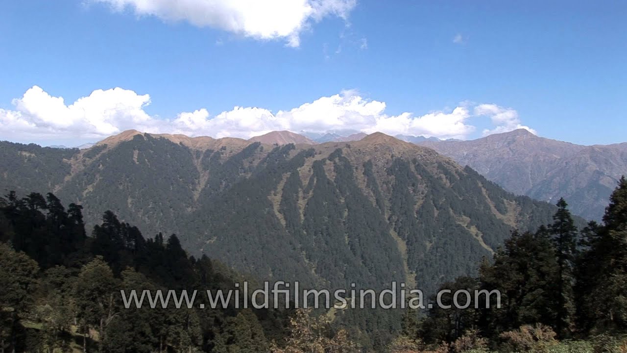 Sneak peeks of high peaks: From the Gidara trek, Uttarakhand