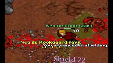 Tibia tenebra Rookgaard