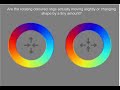 What makes the Spinning Rainbow Circles illusion work.