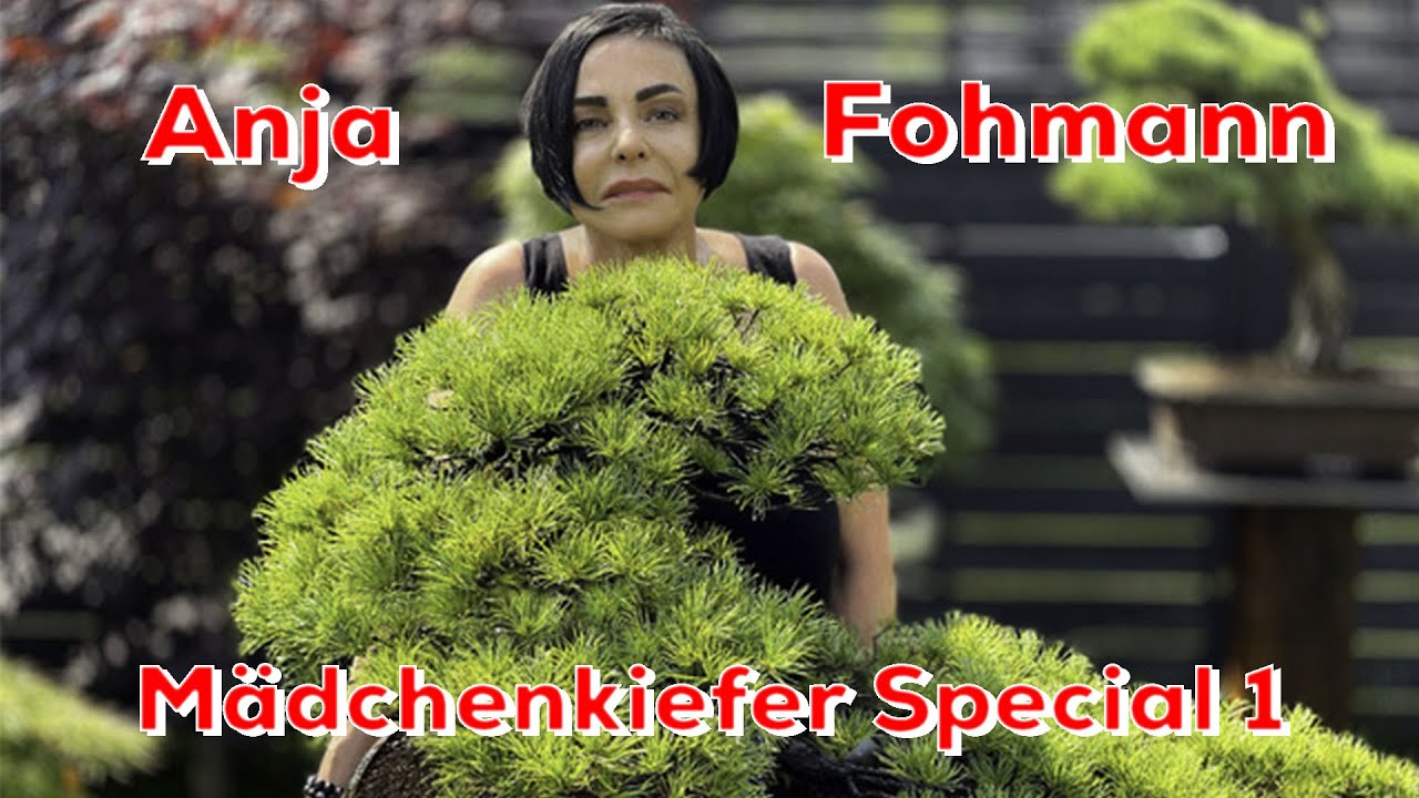 Аня Фоманн @ BonsaiKunstHamburg 2.0