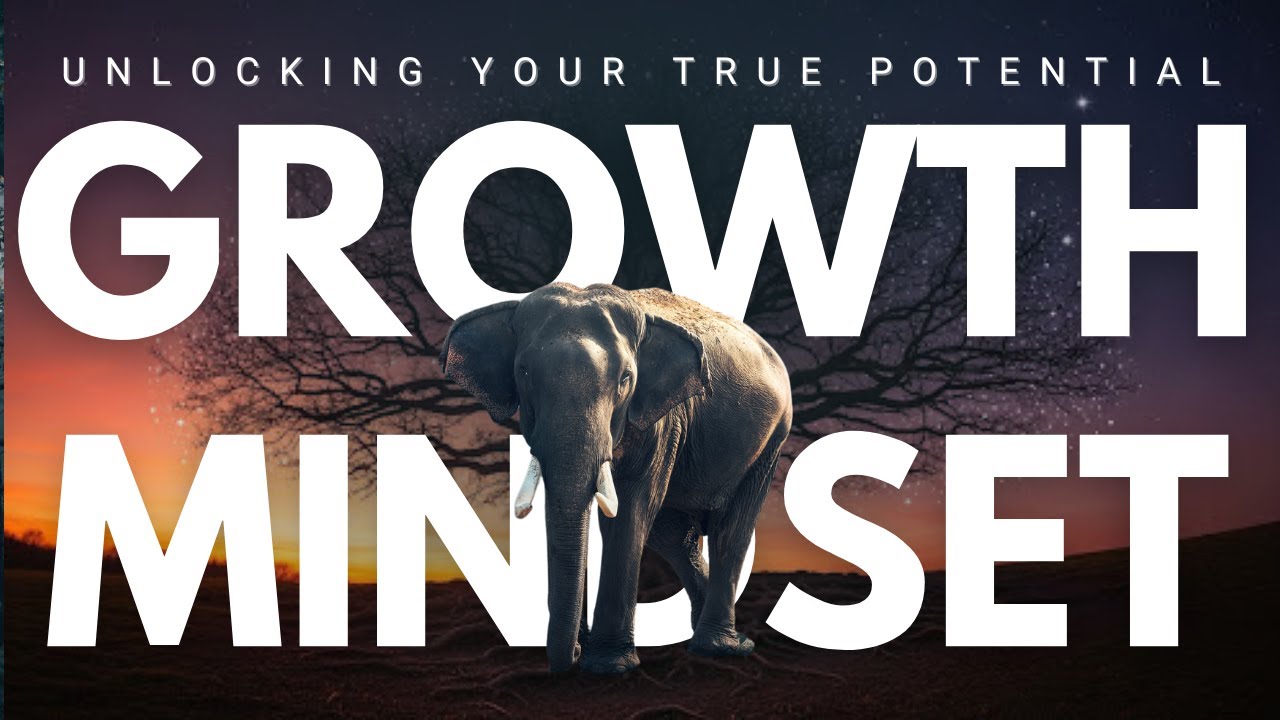How Growth Mindset Works-Small Efforts Create Progress-Improve One Step at a Time | Insight Aperture