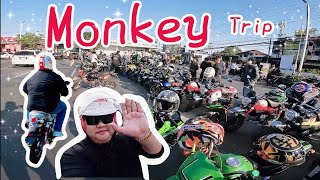 ทริป Honda Monkey125 ดอยวาวี-ดอยช้าง