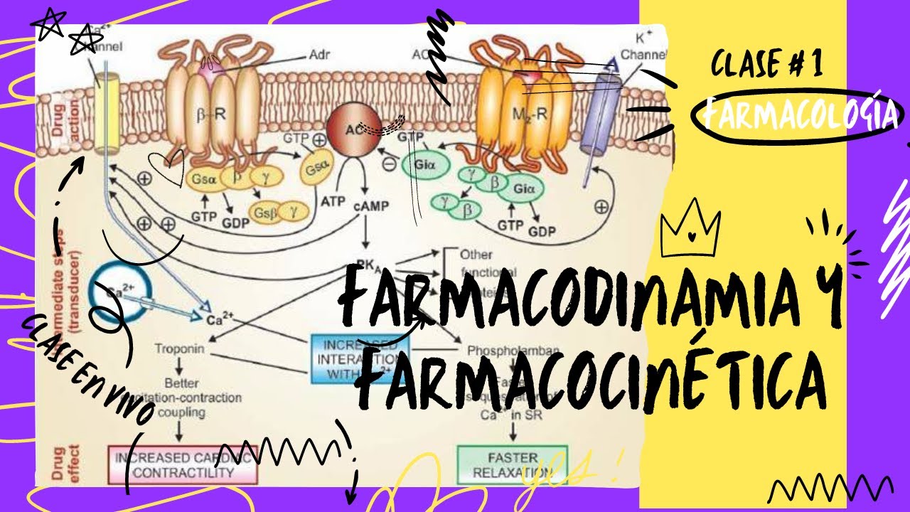 1. FARMACODINAMIA Y FARMACOCINÉTICA