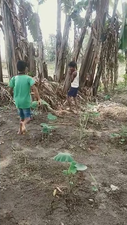 ko goisil kal khaboly #subscribe