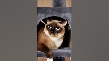 🐱 Multi-Level Cat Tower with Scratching Posts & Cozy Condos