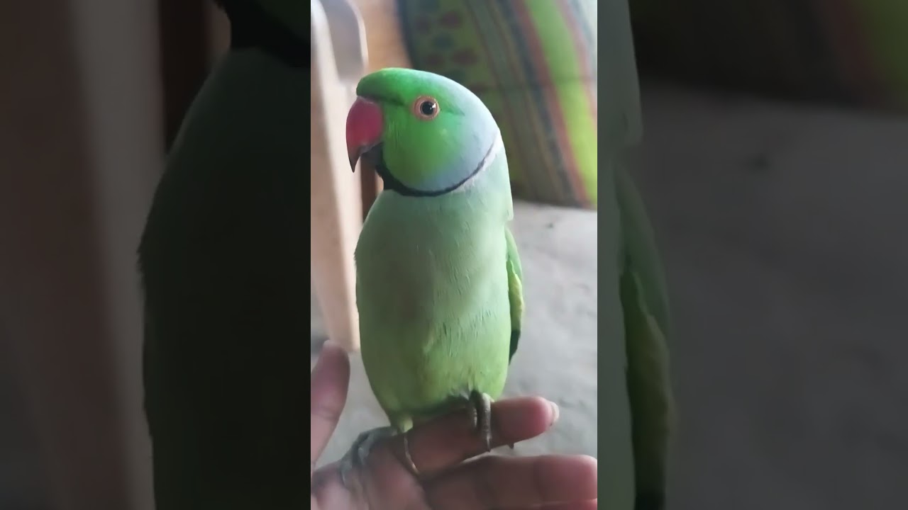 14 फ़रवरी 2026