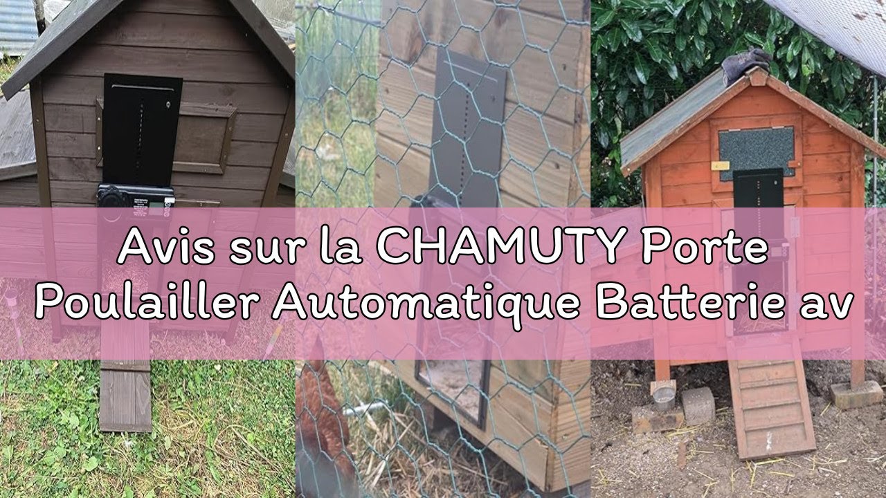 Avis sur la CHAMUTY Porte Poulailler Automatique Batterie avec Écran LCD Programmable Étanche, Porte
