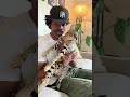 He S NOT A Wild Animal Shorts Youtubeshorts Savannahcat Wildanimals 