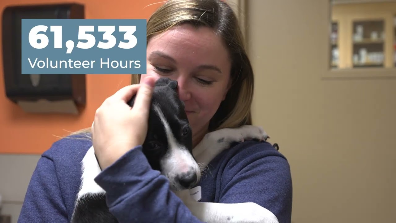 The Anti-Cruelty Society's Journey to 125 Years