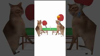 Cat Memes The Fastest Ping-Pong Game