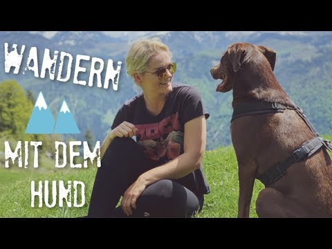 Video: Wandern Mit Ihrem Hund