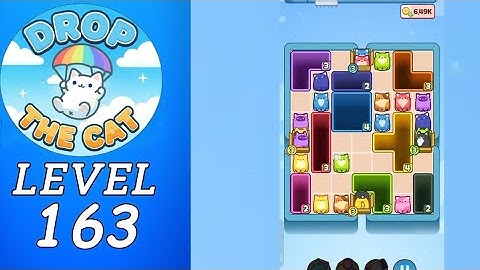 Drop The Cat Level 163 Walkthrough