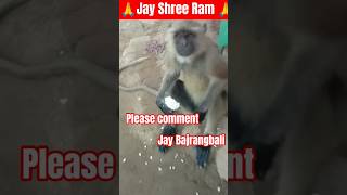 Jay Bajrangbali 🙏🙏 | #shortsfeed #shorts #youtubeshorts #viral #vlog #jayshreeram #trending