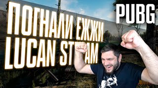 ЭРАНГЕЛЬ  PUBG СТРИМ  #pubg #стрим #stream #arenabreakout