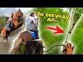 VLOG Врезалась В ДЕРЕВО на Лошади! КОННАЯ ПРОГУЛКА / Перевезла ВСЮ Амуницию!