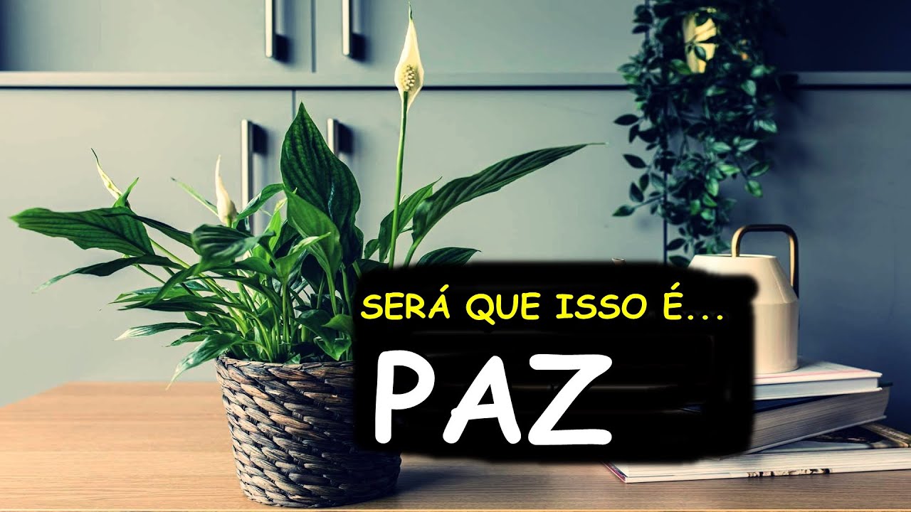 Significado Espiritual do Lírio da paz, o Simbolismo do Lírio - YouTube