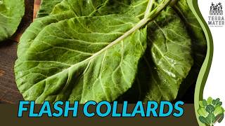 Flash Collards (Brassica oleracea var. viridis): Fast-Growing Leafy Green Plant Introduction