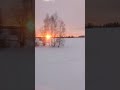 winter in Belarus #esthetician #panorama #recommended #show  #belarus #forest
