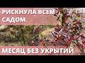 РАННЕЕ ОТКРЫТИЕ РОЗ ВЕСНОЙ 2026 ГОДА Как перезимовали и как веснуют мои розы в этом году 