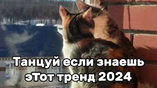 💛✨️Танцуй Если Знаешь Этот Тренд😇💗Тренды 2024Года💛✨️