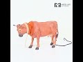 Video: Animated Brown Cow with Moving Tail for 30 cm Nativity Figure