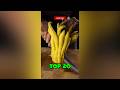 Top 20 Weirdest Fruits on Earth - #1 Will Blow Your Mind!