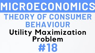 #18- Utility Maximization Problem, IGNOU, MEC-101 | Kanishka Luthra
