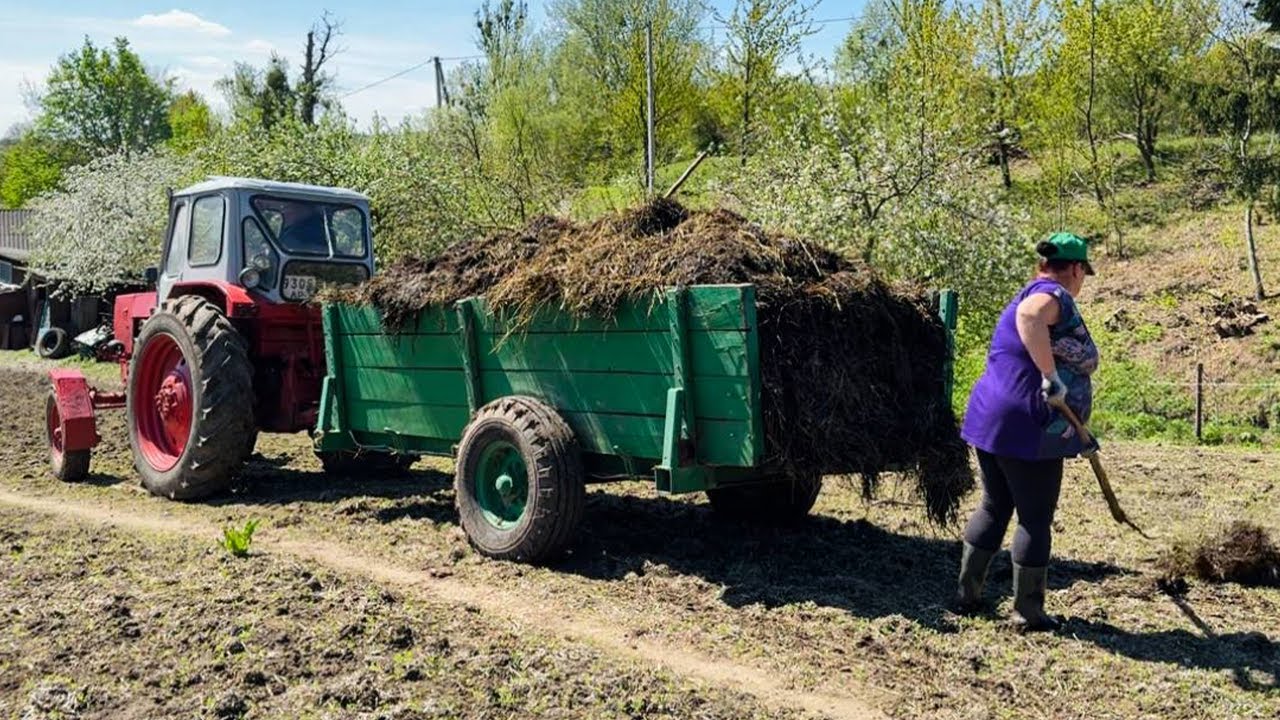 Life in the Mountains: Hard Work, Family Adventures, and Nature's Beauty
