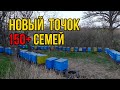 Обзор нового точка, переезд пчел на новый участок, подготовка к перевозке пакетов