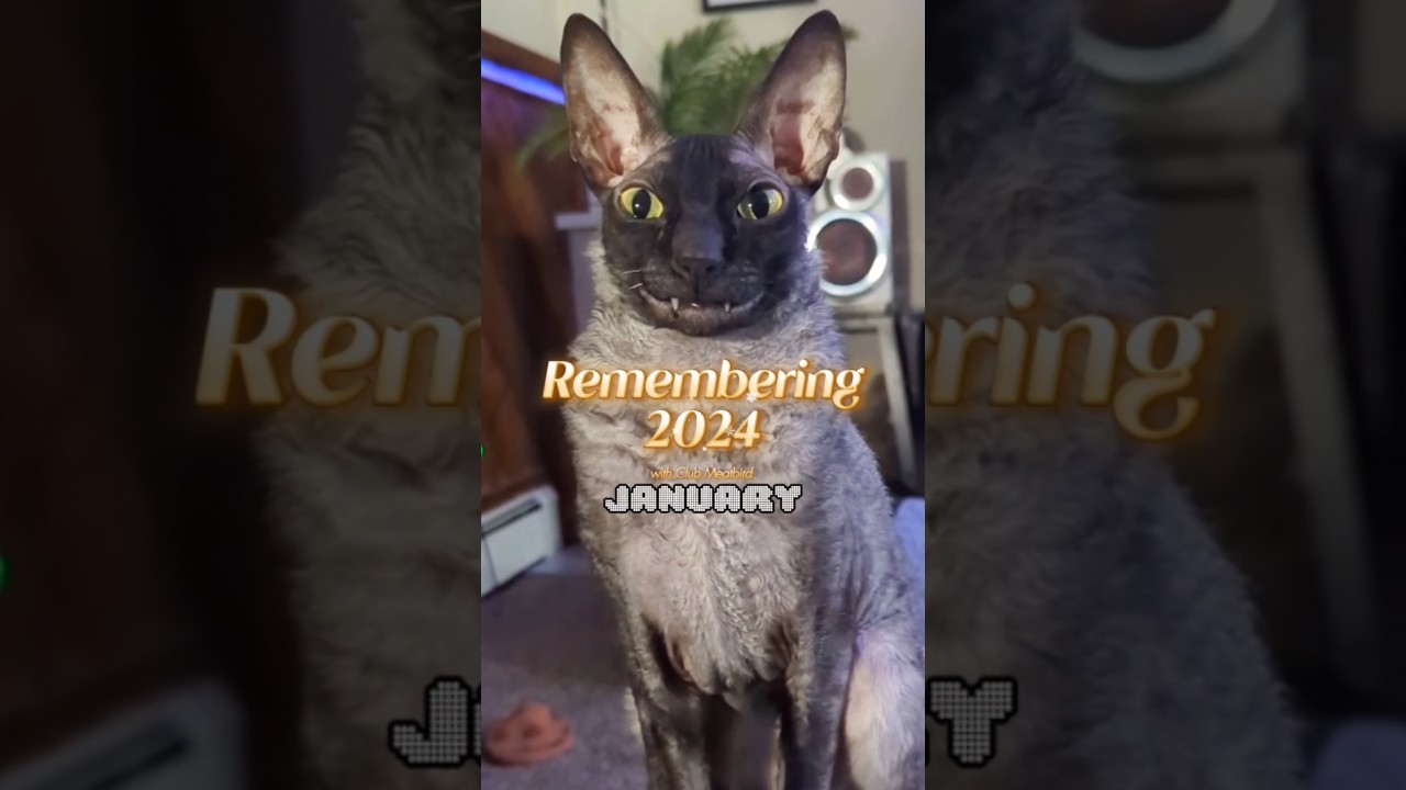 Remembering 2024 &mdash; Happy New Year! 🥳