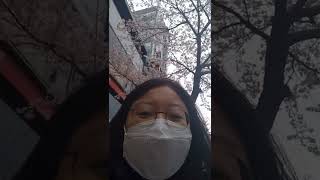 Bonan printempon en Koreio