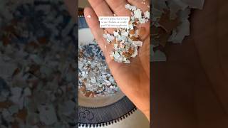 Chickens Eating Their Own Eggshells?