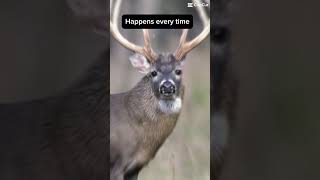 #Hunting #DeerHunting #DeerSeason #Whitetail #WhitetailHunting #BowHunting #WhitetailBuck #Hunt