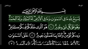 سورة التغابن الشيخ هاني الرفاعي